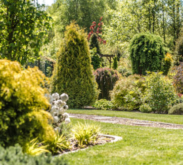 Perfekcyjne krawędziowanie trawnika: Sekret doskonałego wyglądu Twojego ogrodu