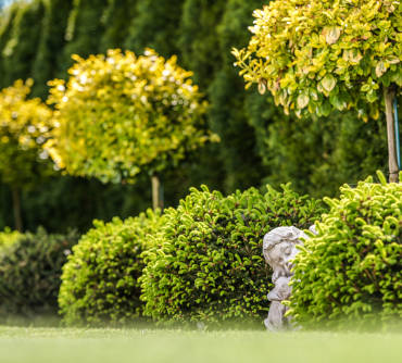 Wertykulacja trawnika: klucz do bujnej zieleni po zimie