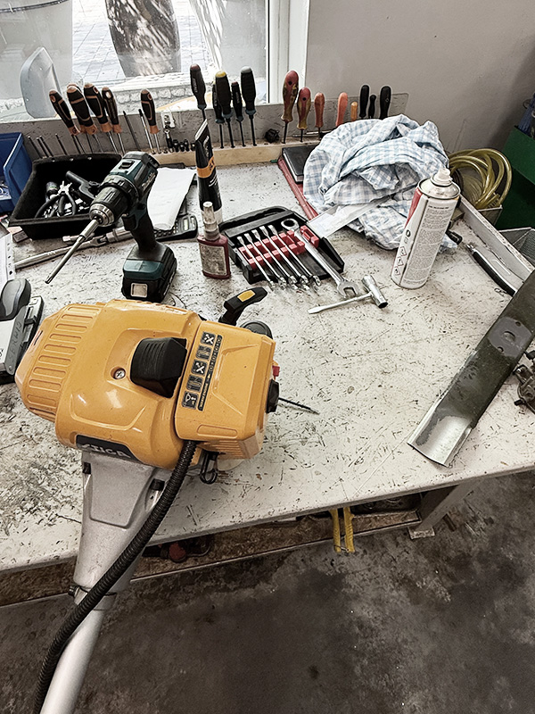 Serwis naprawa kosiarek w miejscowości Kalisz